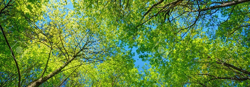 Carel Lurvink doorstaat jaarlijkse ISO 9001