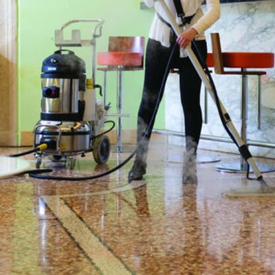 Carmen Plus stoomreiniger Inox incl. accessoireset