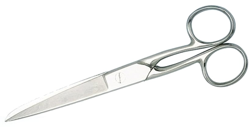 Huishoudschaar RVS 16cm 