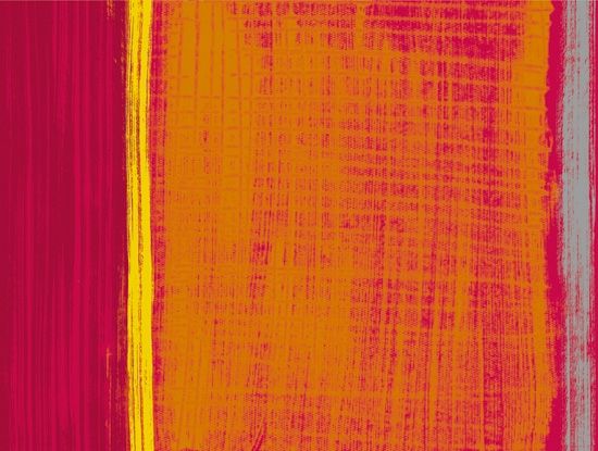 Duni papieren placemat Gustav 30x40cm 250st 