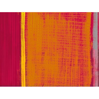 Duni papieren placemat Gustav 30x40cm 250st