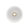 CaluPaint ontluchtingsrol 25cm 12mm stekellengte