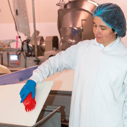 Vikan ergonomische werkborstel rood