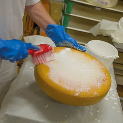 Vikan afwasborstel zacht rood