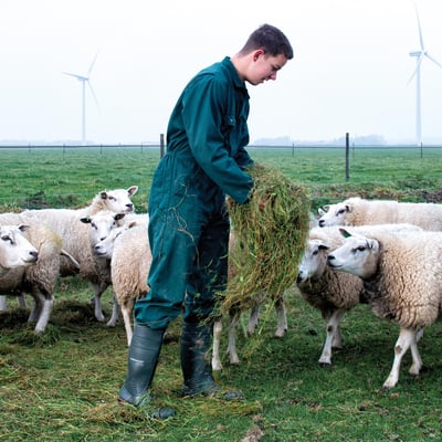 Dunlop Acifort Heavy Duty laars S5 full safety groen classic fit maat 39