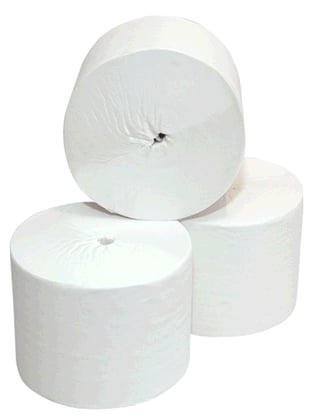 Toiletpapier Coreless 2-lgs 36rolx900vel