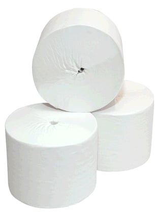Toiletpapier Coreless Cellulose 2-lgs 36rolx900vel