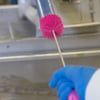 Vikan draadborstel 60 mm roze RVS hygiënisch