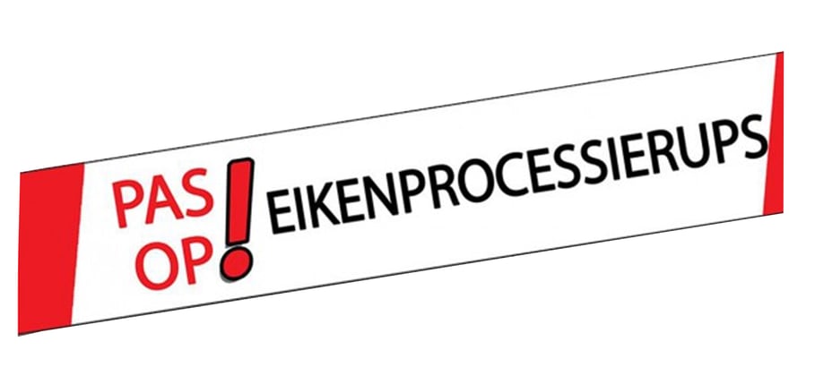 Eikenprocessierups markeringslint