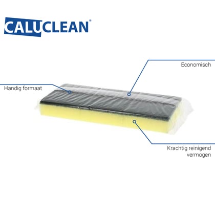 CaluClean schuurspons klein 6x9x3cm 3st 