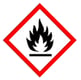 Brady GHS symbool 