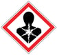 Brady GHS symbool 