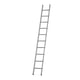 Dirks enkele rechte ladder 12 sp. optrede 28cm gecoat