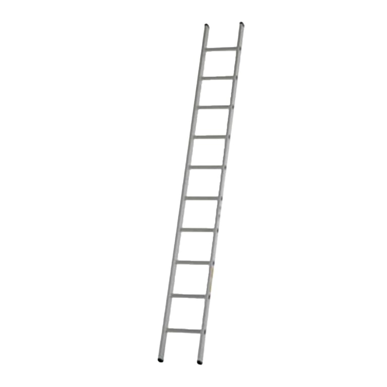 Dirks enkele rechte ladder 28cm gecoat