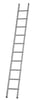 Dirks enkele rechte ladder 1x11 35 optrede gecoat incl latogen