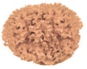 Natuurspons middel decoratie spons graniet effect