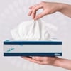Kleenex facial tissue dispenserdoosje 3-lgs 72 tissues wit